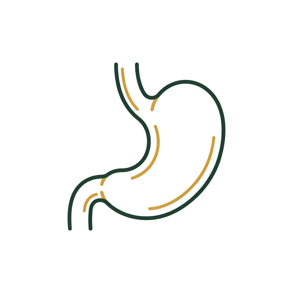 Gastrointestinal Care Icon